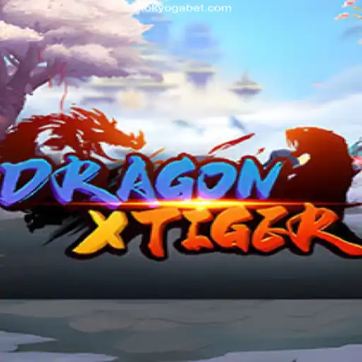 Discovering DragonXTiger: A Thrilling Casino Adventure at OKOKYoga Oficial